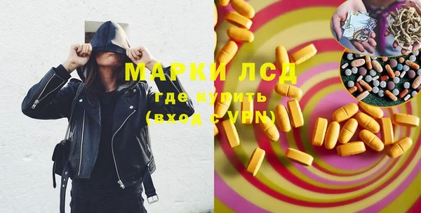 эйфоретик Баксан