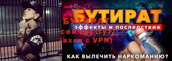 PSILOCYBIN Тайга