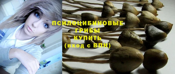 дмт Строитель