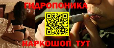 сатива Беслан