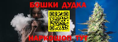 спиды Бийск