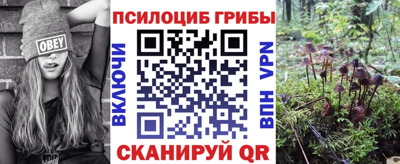 kraken ONION  Горячий Ключ  Галлюциногенные грибы Magic Shrooms  где купить наркоту 