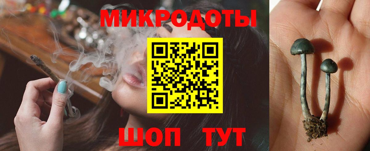 Галлюциногенные грибы Psilocybe  Вход с VPN  Горячий Ключ 